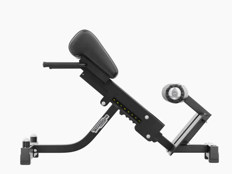 Technogym Lower Back Bench Pure 3D Model