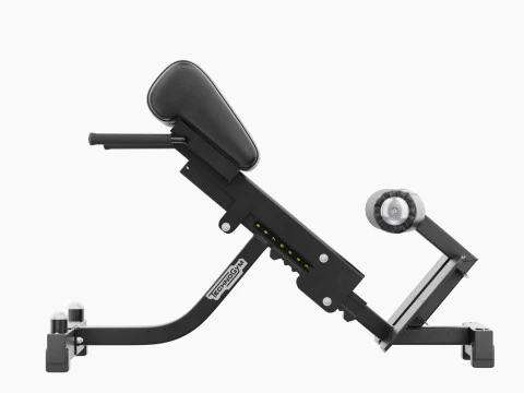 Technogym Lower Back Bench Pure 3D Model