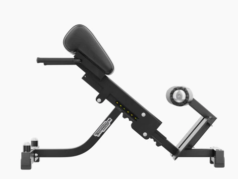 Technogym Lower Back Bench Pure 3D Model