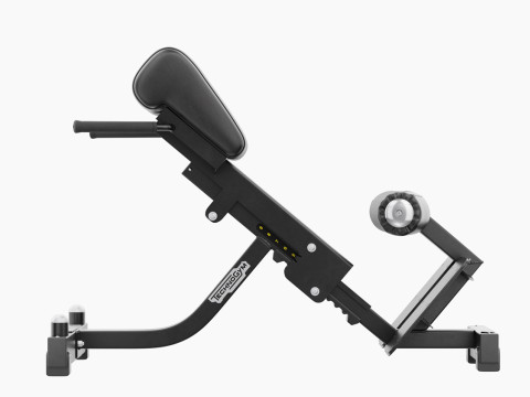 Panca per la zona lombare Technogym Pure Modello 3D