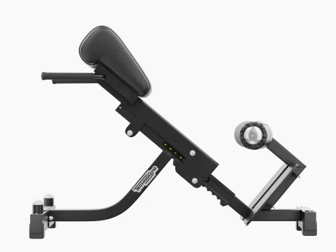 Technogym Lower Back Bench Pure 3D Model