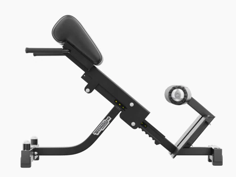 Technogym Lower Back Bench Pure 3D Model