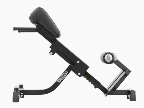 Technogym Lower Back Bench Pure 3D Model