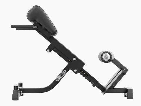 Technogym Lower Back Bench Pure 3D Model