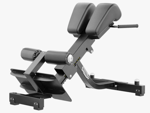 Technogym Lower Back Bench Pure 3D Model