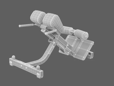 Technogym Lower Back Bench Pure 3D Model