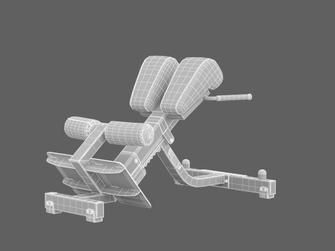 Panca per la zona lombare Technogym Pure Modello 3D