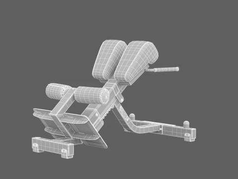 Technogym Lower Back Bench Pure 3D Model