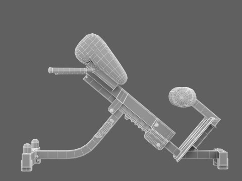 Panca per la zona lombare Technogym Pure Modello 3D