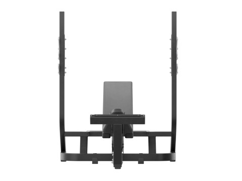 Олімпійська нахилена лава Technogym Pure 3D Модель