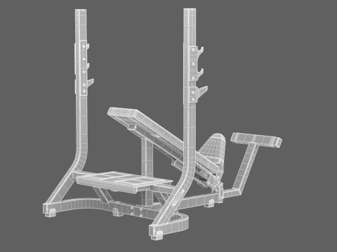 Олімпійська нахилена лава Technogym Pure 3D Модель