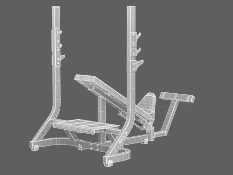 Technogym Olympic Inclined Bench Pure 3D Model