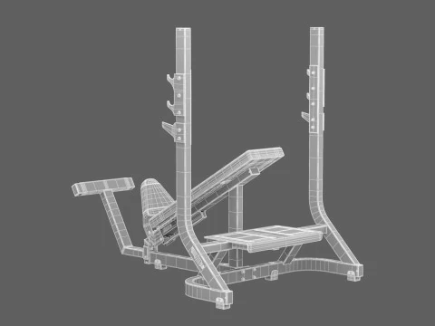 Technogym Olympic Inclined Bench Pure 3D Model