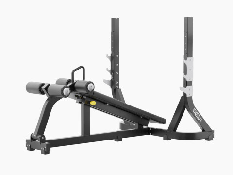 Technogym Olympic Declined Bench Pure 3D Model