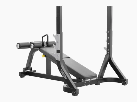 Technogym Olympic Declined Bench Pure 3D Model