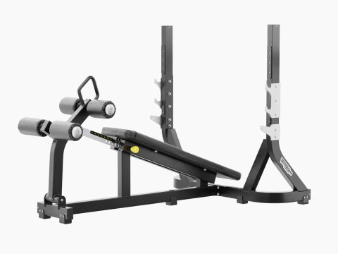 Technogym Olympic Declined Bench Pure 3D Model