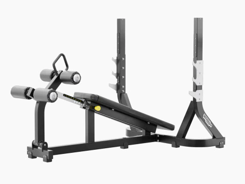 Technogym Olympic Declined Bench Pure 3D Model