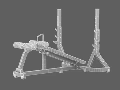 Technogym Olympic Declined Bench Pure 3D Model
