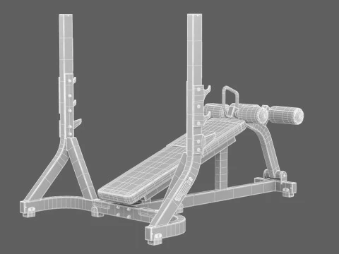 Technogym Olympic Declined Bench Pure 3D Model
