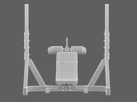 Technogym Olympic Declined Bench Pure 3D Model