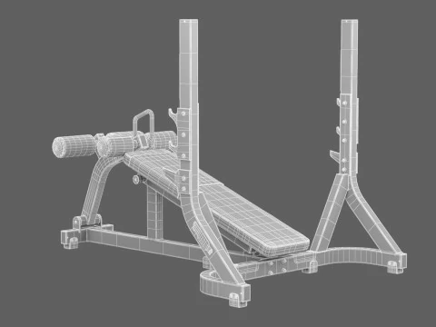 Technogym Olympic Declined Bench Pure 3D Model