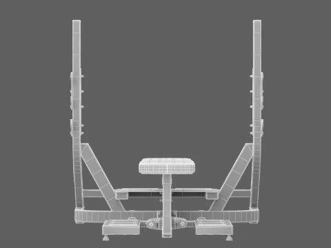 Technogym Olympic Flat Bench Pure 3D Model