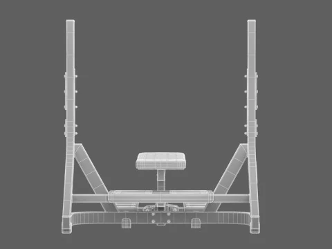 Technogym Olympic Flat Bench Pure 3D Model