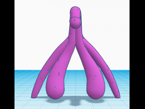 Clitoris Update Modello di stampa 3D
