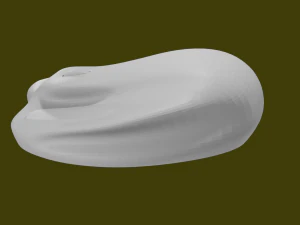 MAUS 3D Model