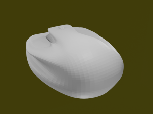 MAUS 3D मॉडल