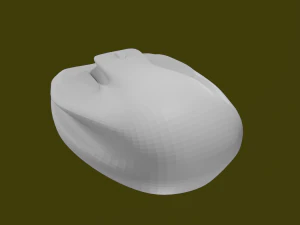 MAUS 3D Model