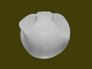 MAUS 3D Model