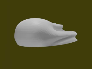 MAUS 3D Model