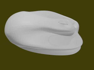 MAUS 3D Model