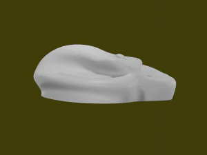 MAUS 3D Model