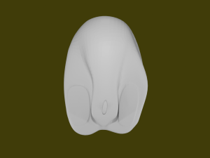 MAUS 3D मॉडल