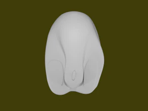 MAUS 3D Model