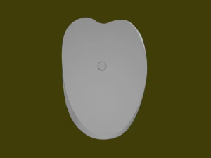 MAUS 3D Model