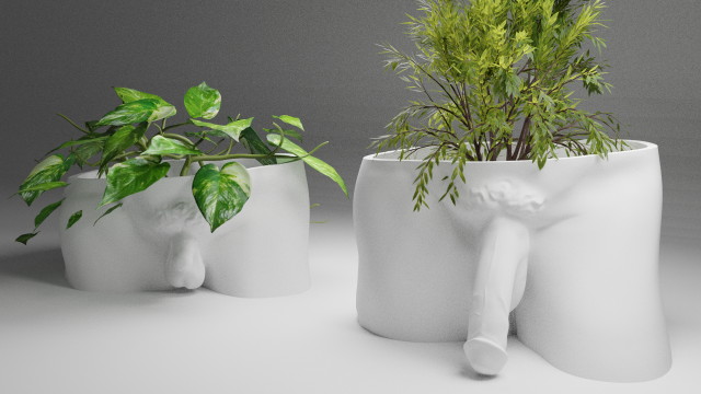 David Penis Planter 3D 프린트 모델 .c4d .max .obj .3ds .fbx .stl .blend 