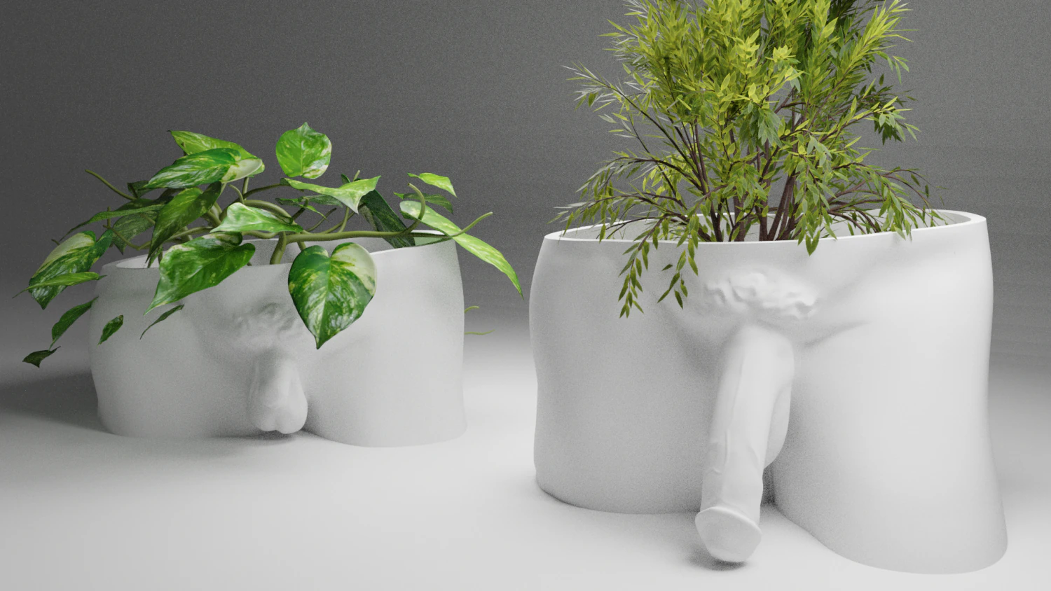 David Penis Planter 3D Print Model .c4d .max .obj .3ds .fbx .stl .blend