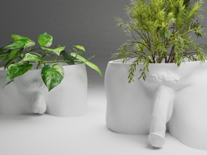 David Penis Planter 3Dプリントモデル