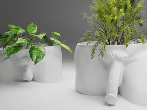 Дэвид Пенис Плантер 3D Принт Модель