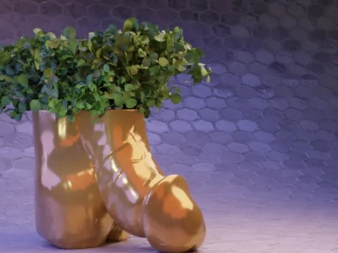 Penis Planter 3Dプリントモデル
