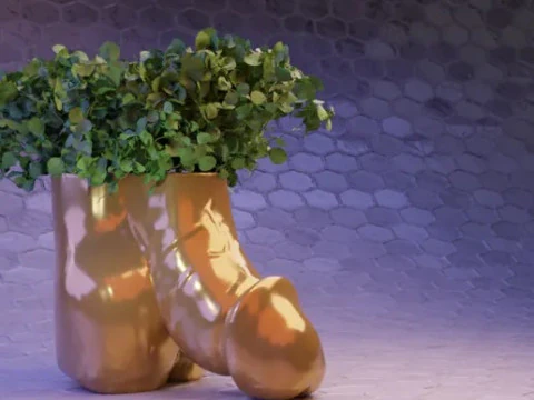 Penis Planter 3D Print Model