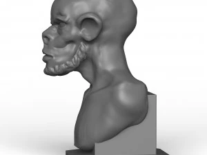 Print Ready 3D Ape Statue 3D Model