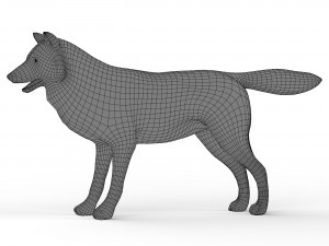 Wolf Base Mesh 3D Model