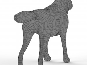 Wolf Base Mesh 3D Model