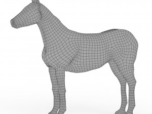 Horse Base Mesh 3D Модель