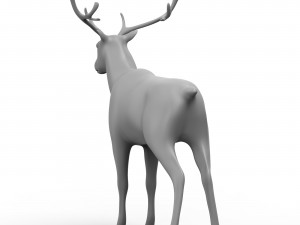 Deer Base Mesh 3D-Modell