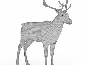 Deer Base Mesh 3D-Modell